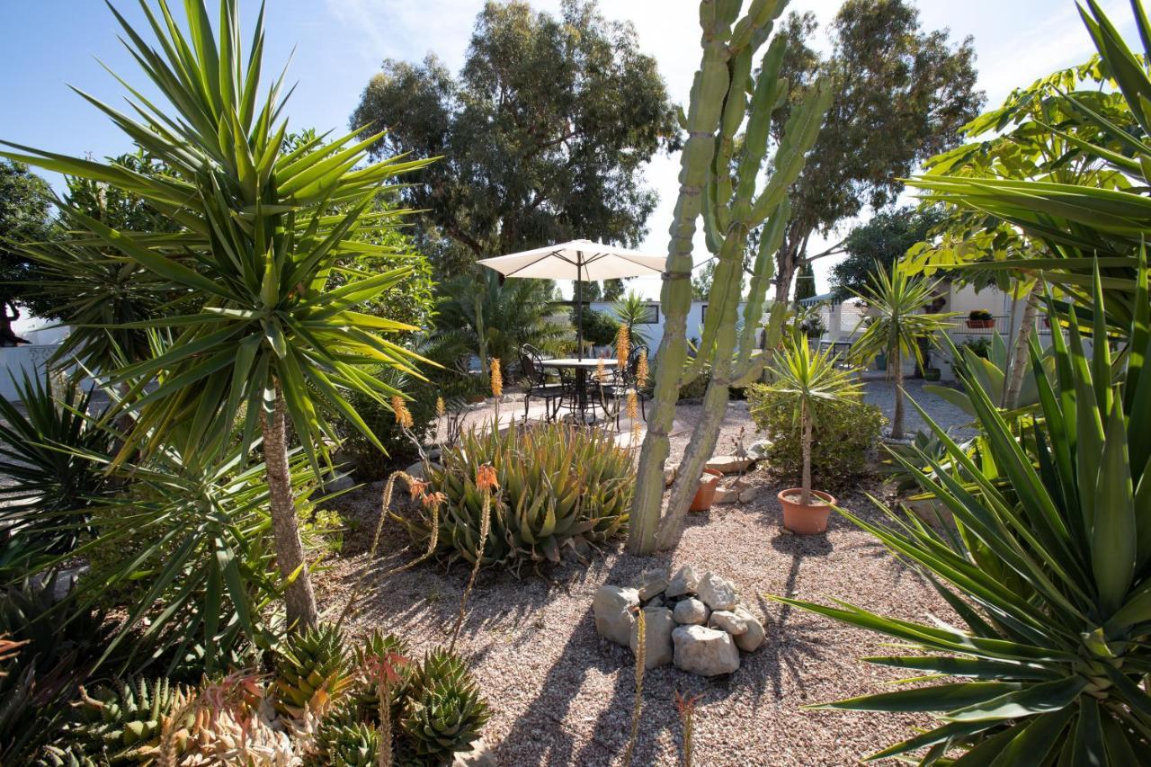 Apartment Costa Blanca 무트자멜 외부 사진