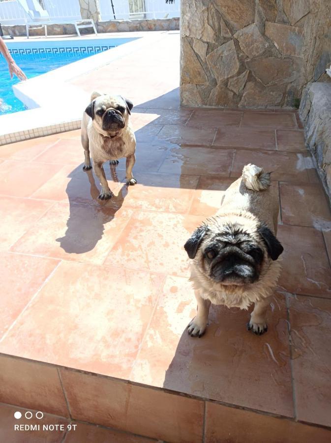 Apartment Costa Blanca 무트자멜 외부 사진
